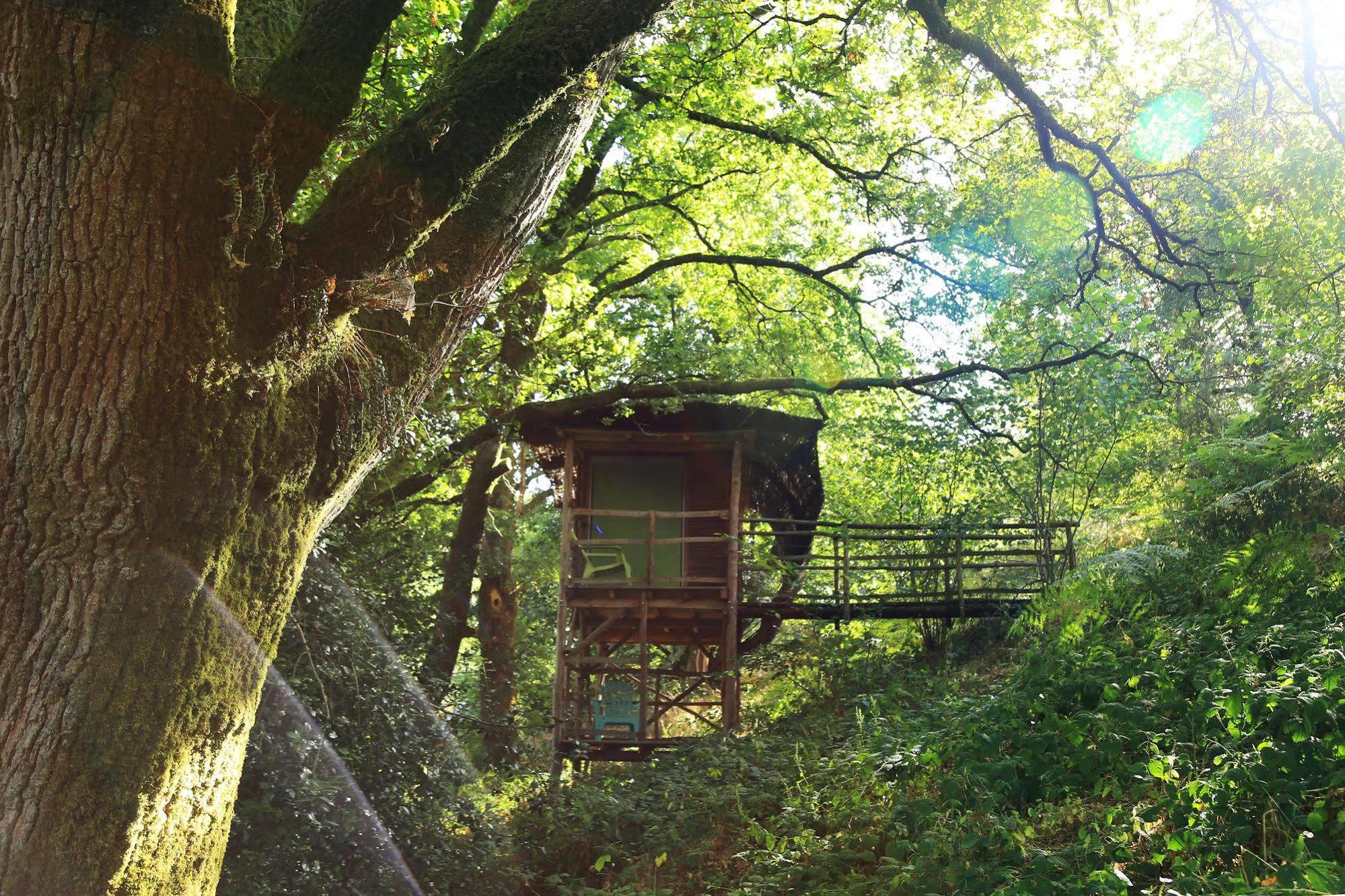 Terragora Lodges - Hebergement Atypique Les Épesses Kültér fotó